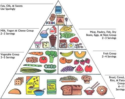 Diabetes and Diet